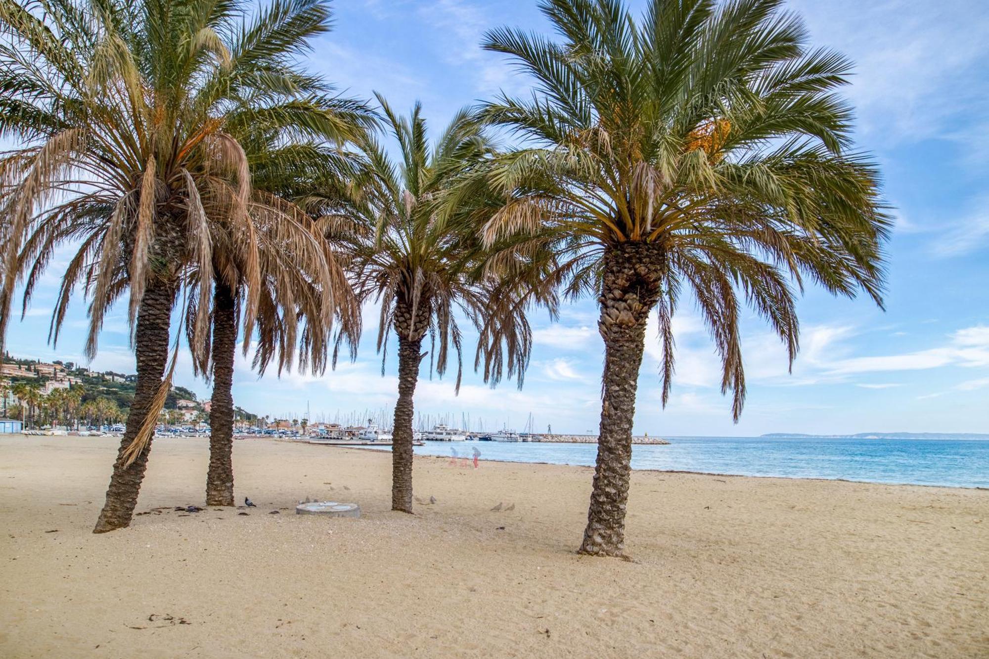 Apartment Nouvelle Ere - Appt A Moins D'un Km De La Le Lavandou
